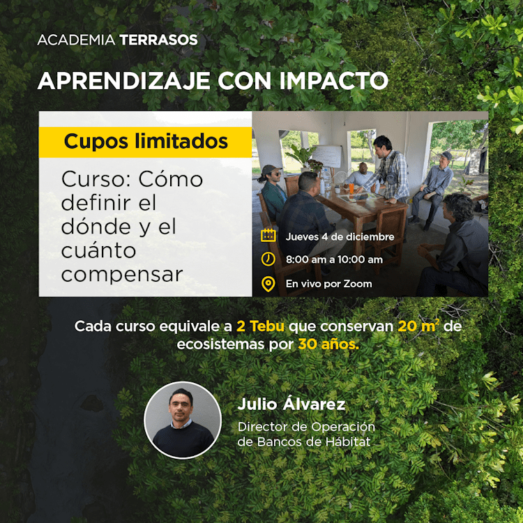 Curso: Cómo definir el dónde y el cuánto compensar