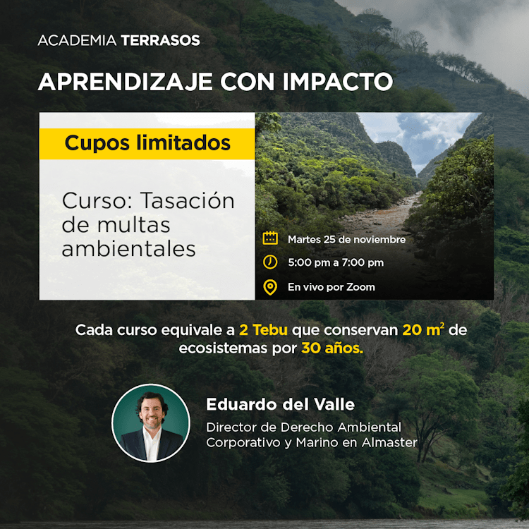 Curso: Tasación de multas ambientales