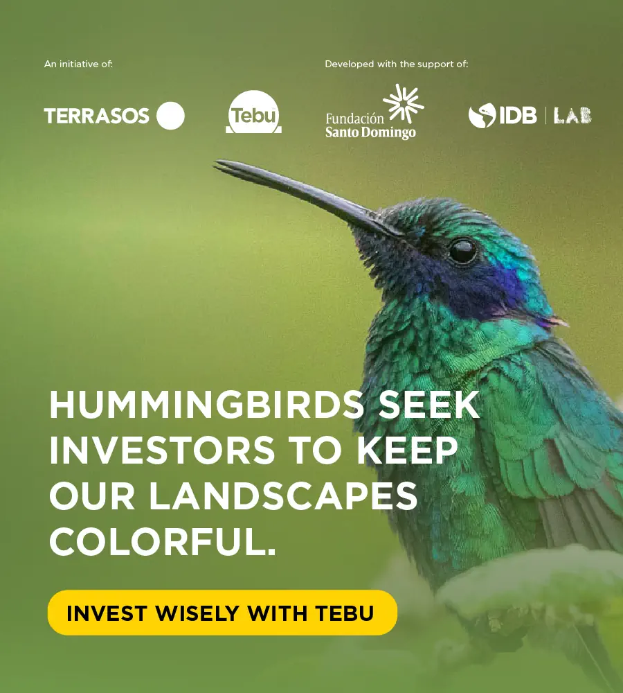 Invest Wisely with Tebu