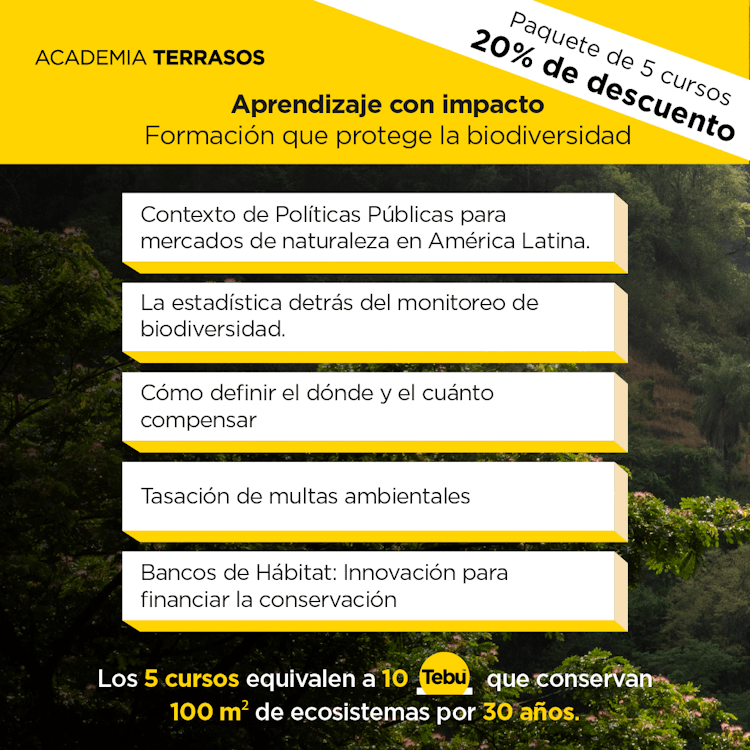 Paquete: Cinco Cursos