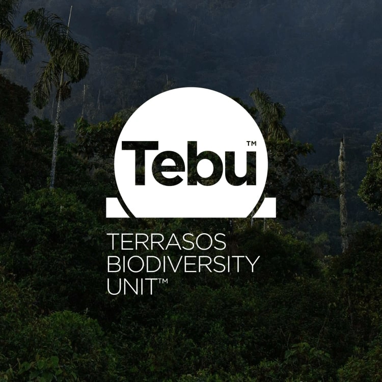 Producto Tebu